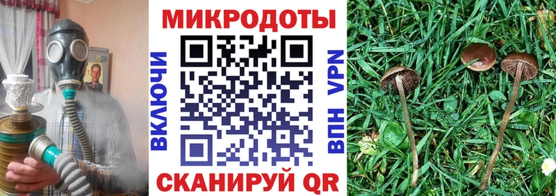 Купить  Кыштым  Галлюциногенные грибы Psilocybine cubensis 